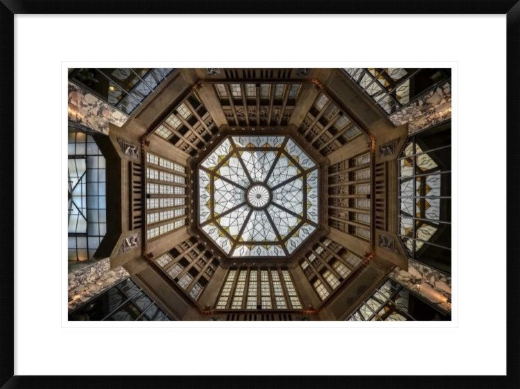 "Looking Up" Framed Digital Print by Renate Reichert, 30x22"