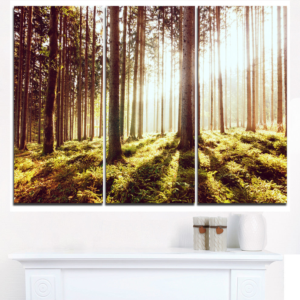 "Early Morning Shadows of Forest" Forest Metal Wall Art, 3 Panels, 36"x28"