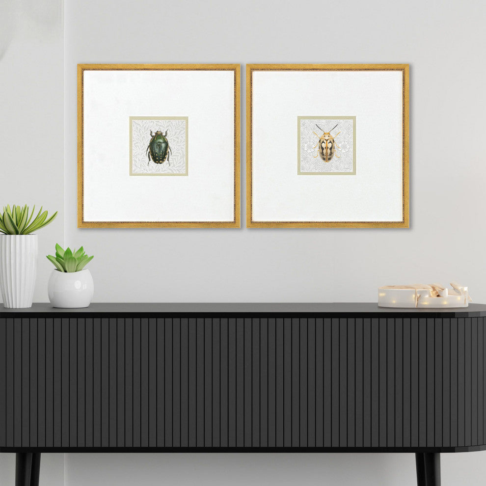 Beetles Framed Art, 2-Piece Set