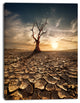 Lonely Dead Tree in Cracked Land, Large Landscape Canvas Art, 12"x20"