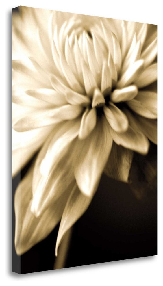 "Radiance IV" By Cinzia Ryan, Giclee Print on Gallery Wrap Canvas, Ready to Hang