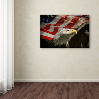 Jai Johnson 'American Eagle' Canvas Art, 24 x 16