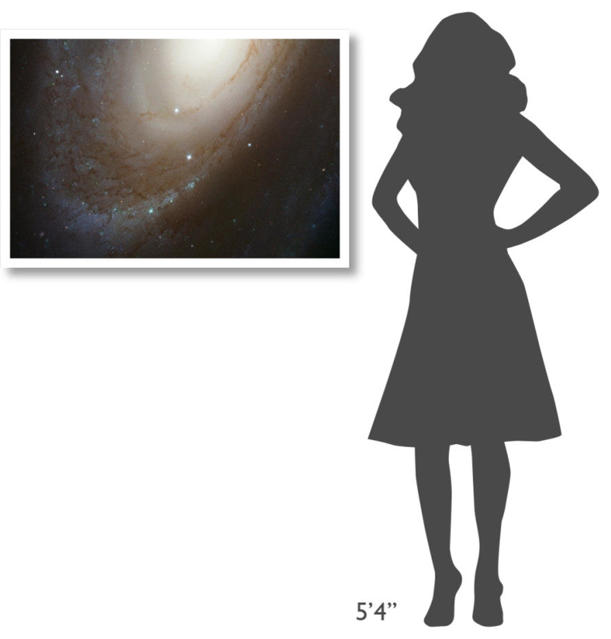 "HST ACS Image of M81" Digital Paper Print by NASA, 38"x26"