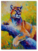 Marion Rose 'Cub' Canvas Art, 18" x 24"