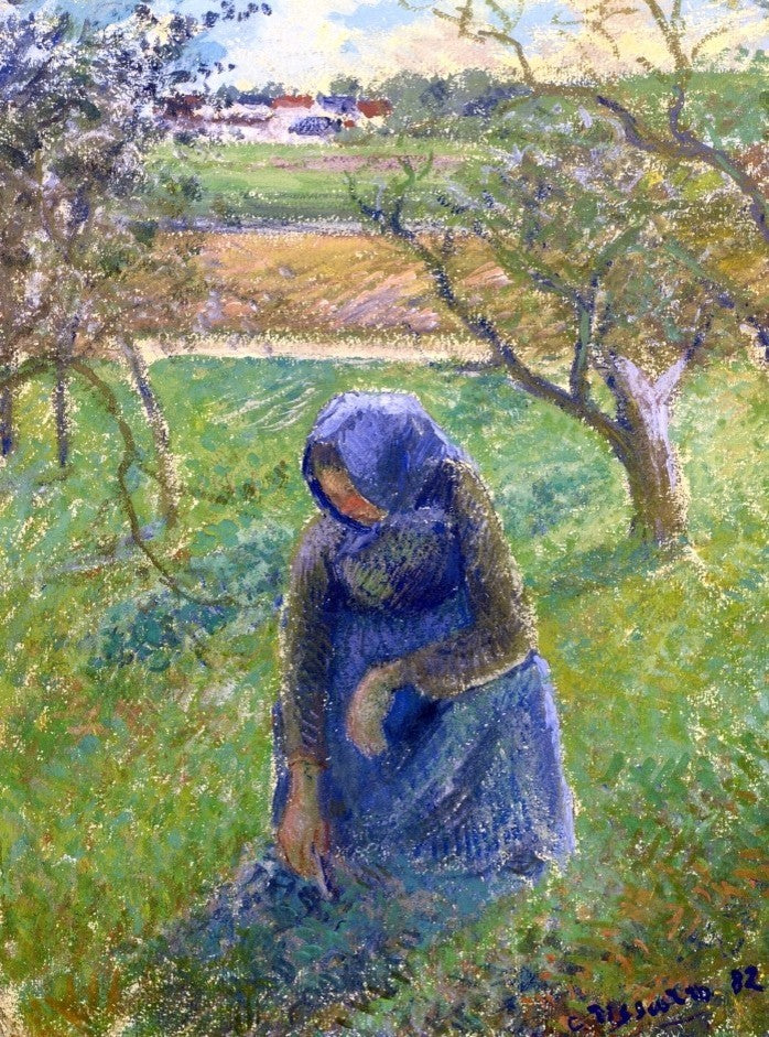 Camille Pissarro Gathering Herbs, Gallery Wrapped Canvas Print, 21"x28"