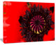 Garden in Full Bloom on Summer Day, Flowers Canvas Wall Artwork, 60"x28"
