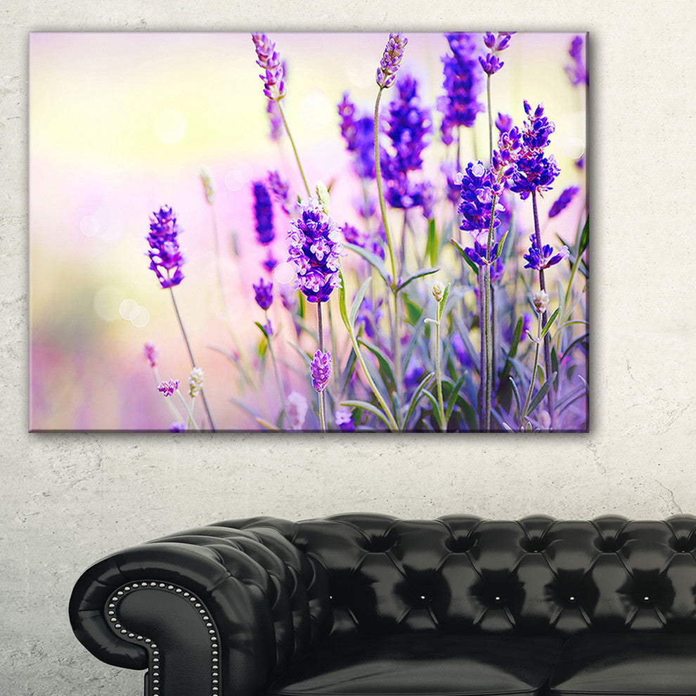 "Purple Lavender Field" Floral Photography Canvas Print, 40"x30"