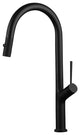 Elisa Modern Kitchen Faucet With 2 Jets, Black