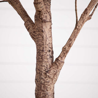 Close-up of the trunk on white background.
