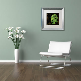 Color Bakery 'Black Gold Herbs IV' Art, Silver Frame, White Matte, 16"x16"