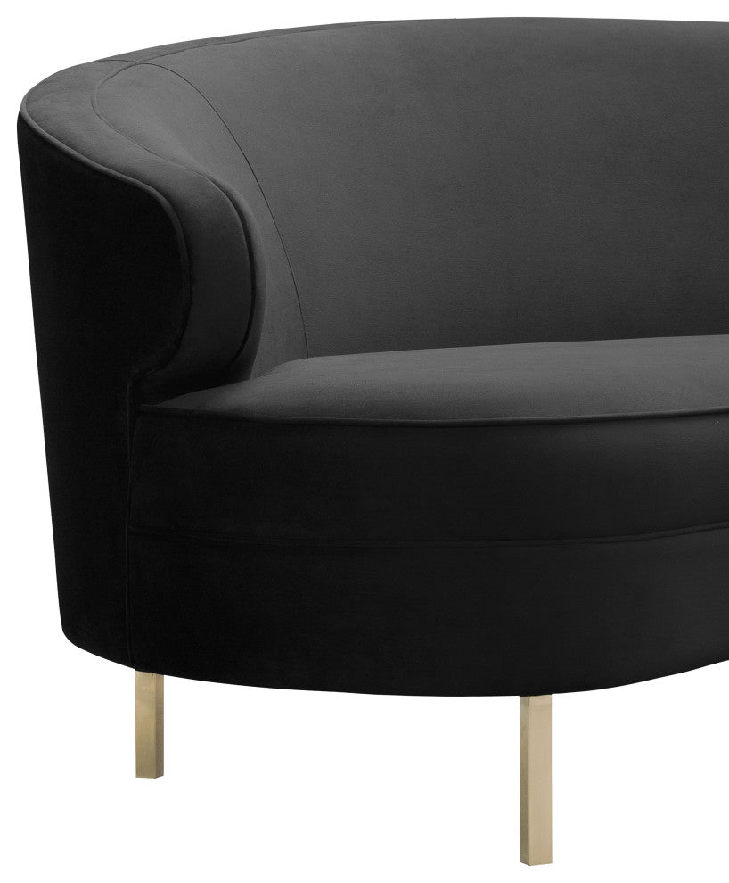 TOV Furniture Baila Black Velvet Sofa