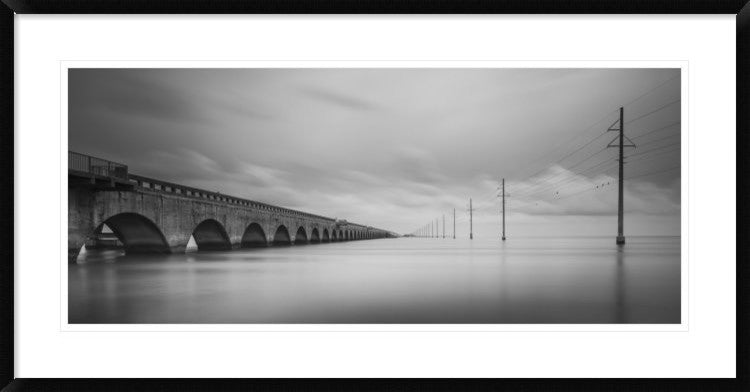 "Birds Talking" Framed Digital Print by Art Lionse, 44x23"