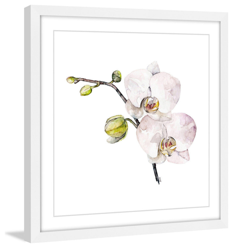"Orchid" Framed Print by Rachel Byler