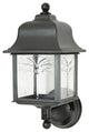 Decorative Outdoor Orchid Up Fixture Black Clear Lens