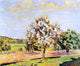 Armand Guillaumin Apple Trees in Bloom, 20"x25" Wall Decal Print