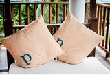 20" x 20" Modern Monogram Indoor/Outdoor Polyester Throw Pillow, Autumn Blue