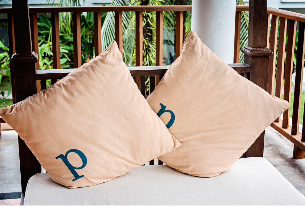 20" x 20" Modern Monogram Indoor/Outdoor Polyester Throw Pillow, Autumn Blue