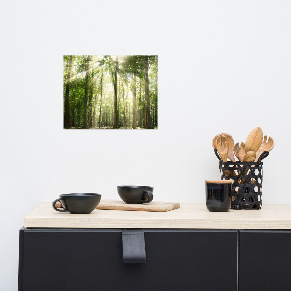 Sun Rays Through Treetops Landscape Photo Unframed Wall Art Print, 11" X 14"