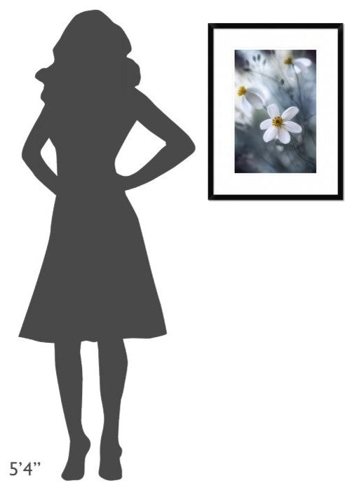 "Cosmos" Framed Digital Print by Mandy Disher, 20"x26"