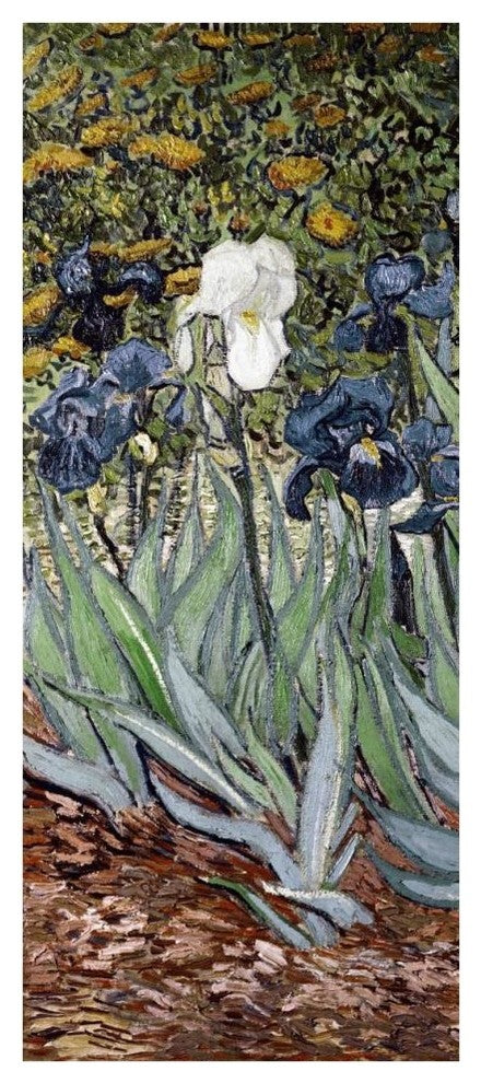 "Irises (left)" Digital Paper Print by Vincent van Gogh, 19"x42"