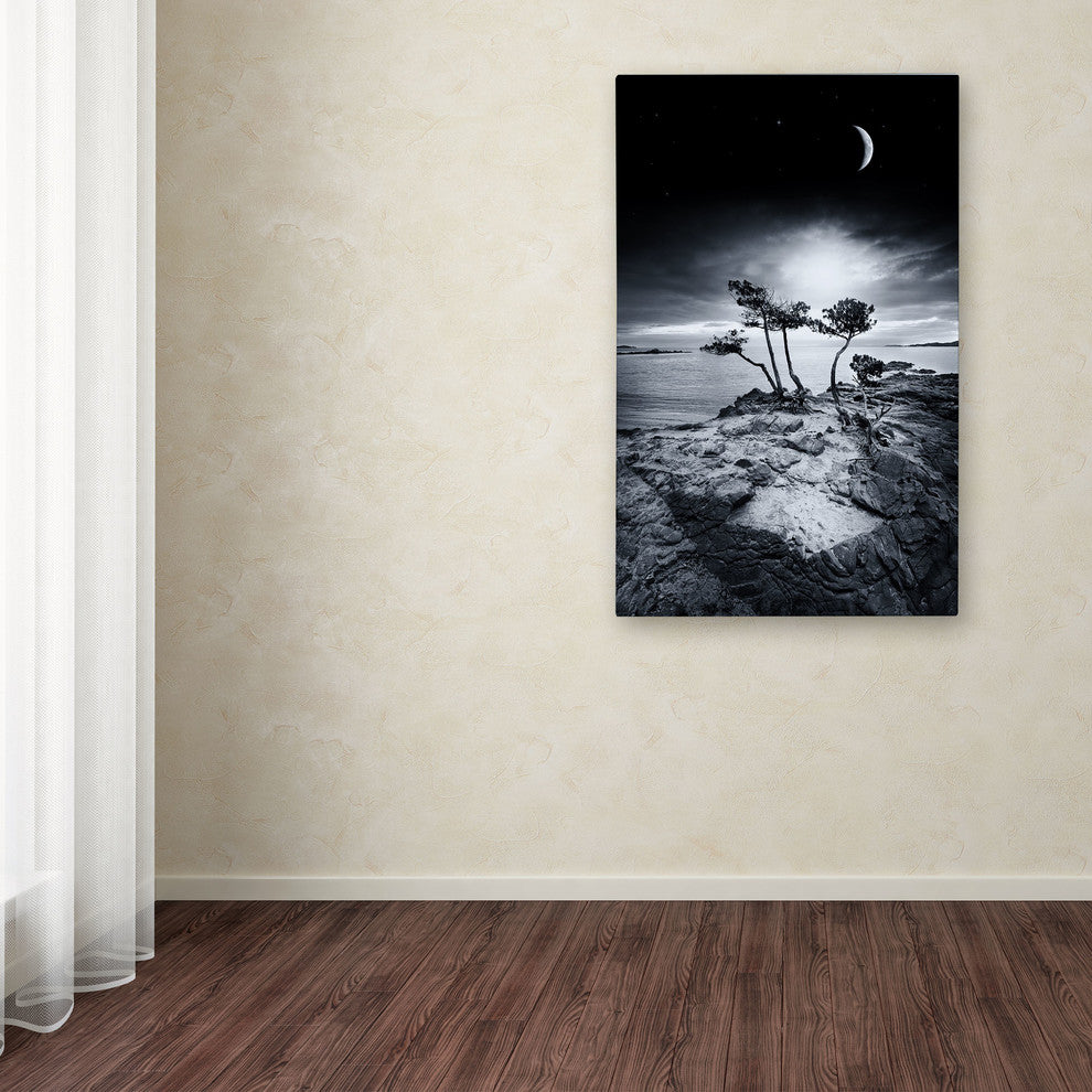 ''Emotional High'' Canvas Art by Philippe Sainte-Laudy