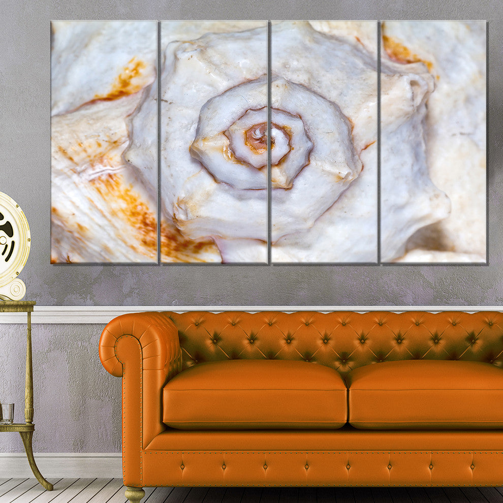 Great Skeleton of Sea Shell, Oversized Animal Wall Art, 48"x28", 4 Panels