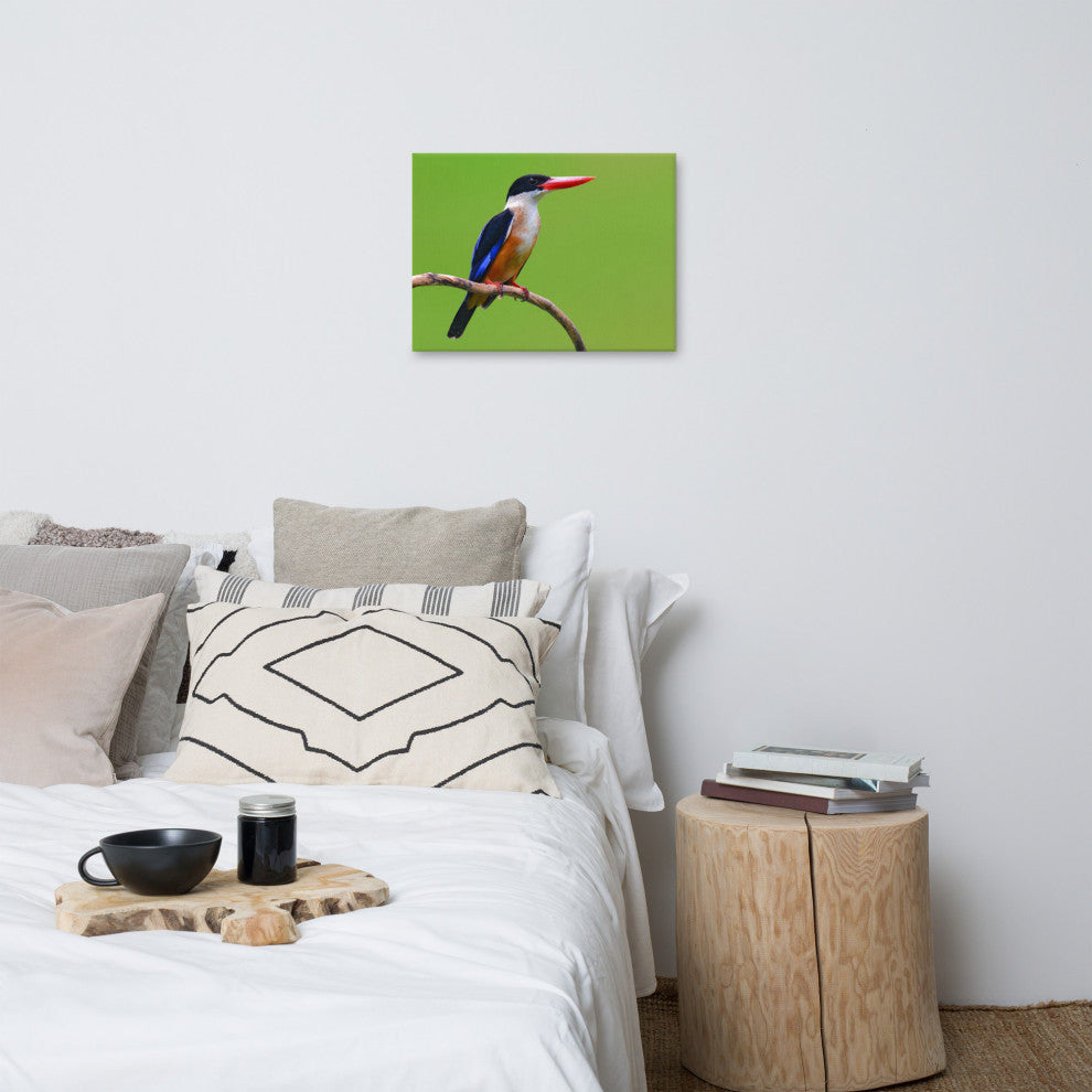 Black Capped Kingfisher Bird on Perch Wildlife Photograph Canvas Wall Art Print, 18" X 24"