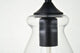 Dakota 1-Light Black Plug-In Pendant With Clear Glass