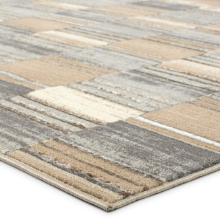 Label J Rhenium GLM04 Abstract Gray Area Rug, 4'3"x5'11"