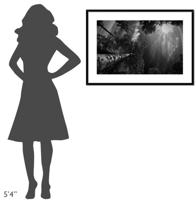 "Dreaming Before The Thunder" Framed Digital Print by Mikael Jigmo, 38"x26"