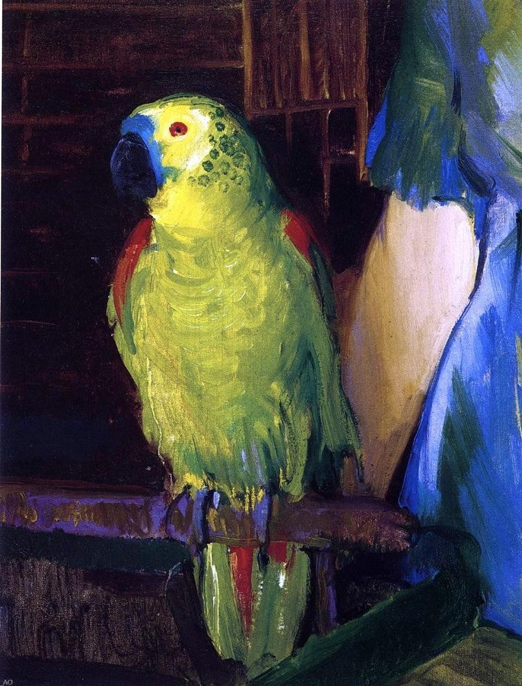 George Wesley Bellows A Parrot, 21"x28" Wall Decal