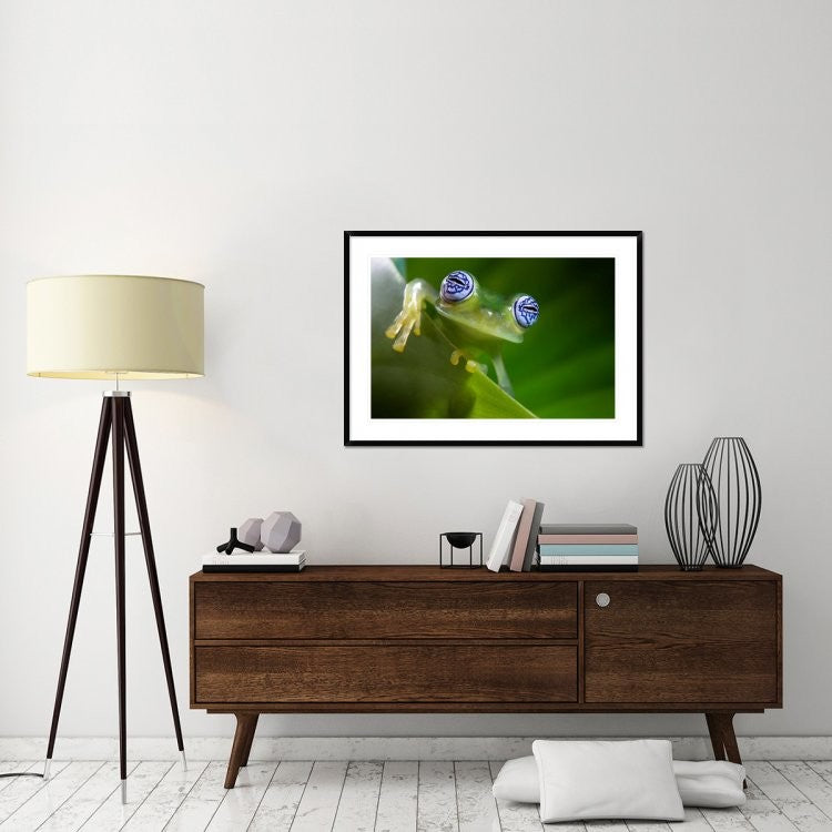 "Im a bit shy" Framed Digital Print by Ghizzi Panizza Alberto, 44x32"