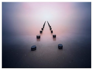 Alone in the Silence' Canvas Wall Decor