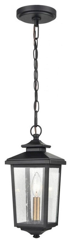 Millennium Eldrick 1-Light Outdoor Hanging Lantern Powder Coat Black