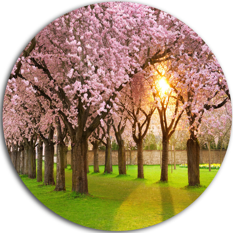 Fascinating Springtime Cherry Scenery, Landscape Round Artwork, 11"