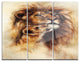 "Loving Lioness" Glossy Metal Wall Art, 3 Panels, 36"x28"