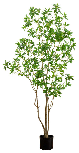 Full product on white background prioritized as main product image (primary_product).
