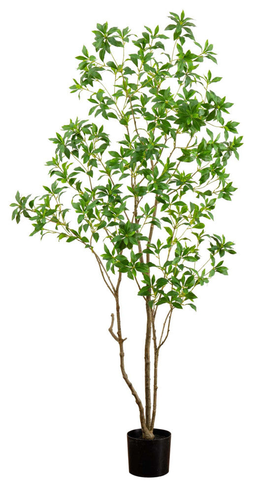 Full product on white background prioritized as main product image (primary_product).