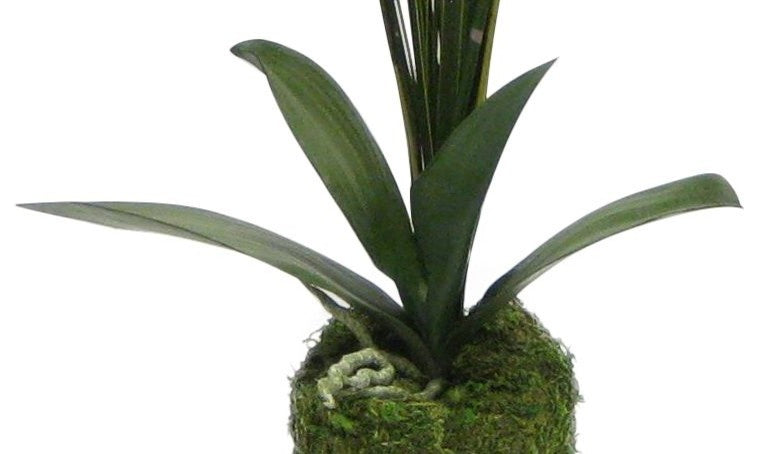 Artificial Phalaenopsis Double Orchid Drop In