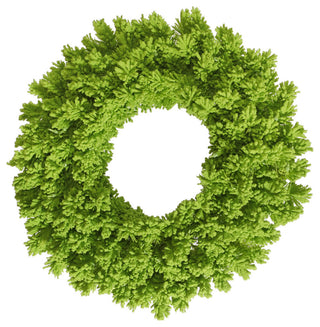 Vickerman 24" Flocked Lime Fir Wreath 150T