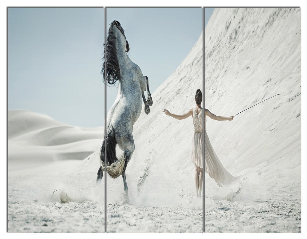 Huge Horse and Lady on Desert, Animal Canvas Wall Art, 36x28, 3 Panels
