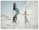 Huge Horse and Lady on Desert, Animal Canvas Wall Art, 36x28, 3 Panels