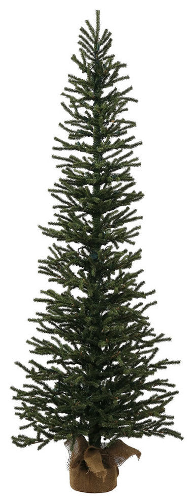 5' X 24" Mini Pine Tree 1226T Burlapbase