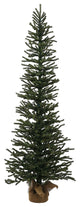 5' X 24" Mini Pine Tree 1226T Burlapbase