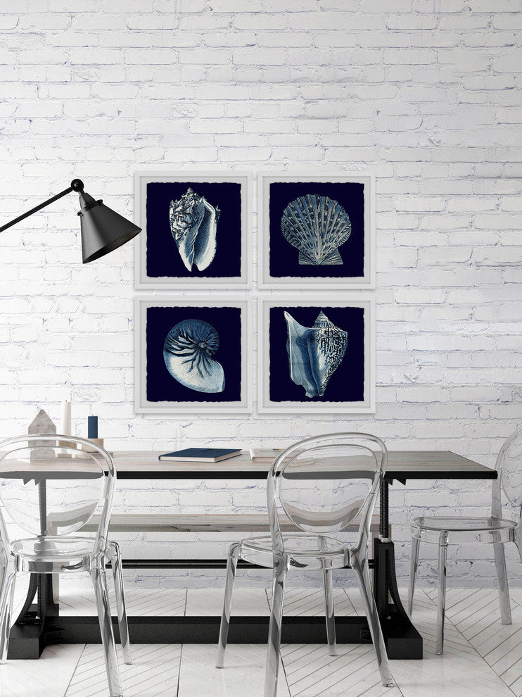 "All About Shells Quadriptych" Framed Painting Prints, 24"x24", 4-Piece Set