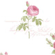 Rose Gardens 2, Romantic Floral Flower White, Rose Wallpaper Roll