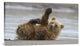 "High Five" Stretched Canvas Giclee by Alfred Forns, 30x17"