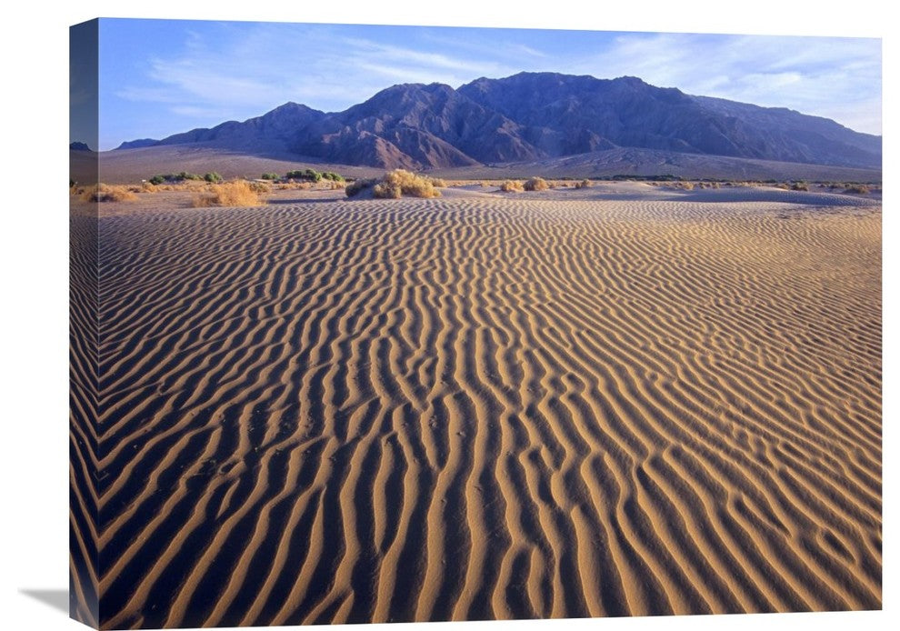 "Tucki Mountain And Mesquite Flat, Death Valley National Park, CA" Artwork