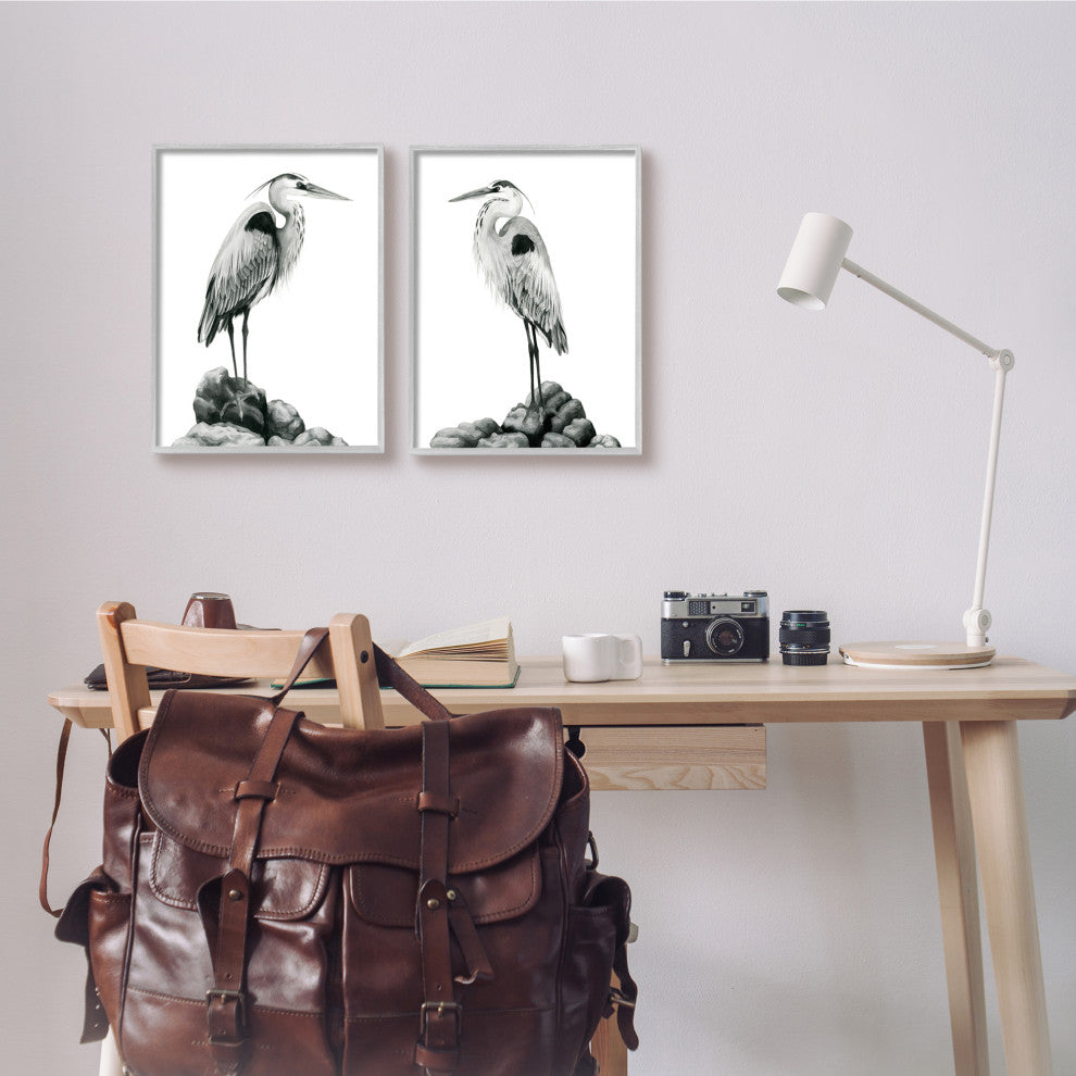 Great Herons Standing Rocks Black White Bird Portraits,11 x 14