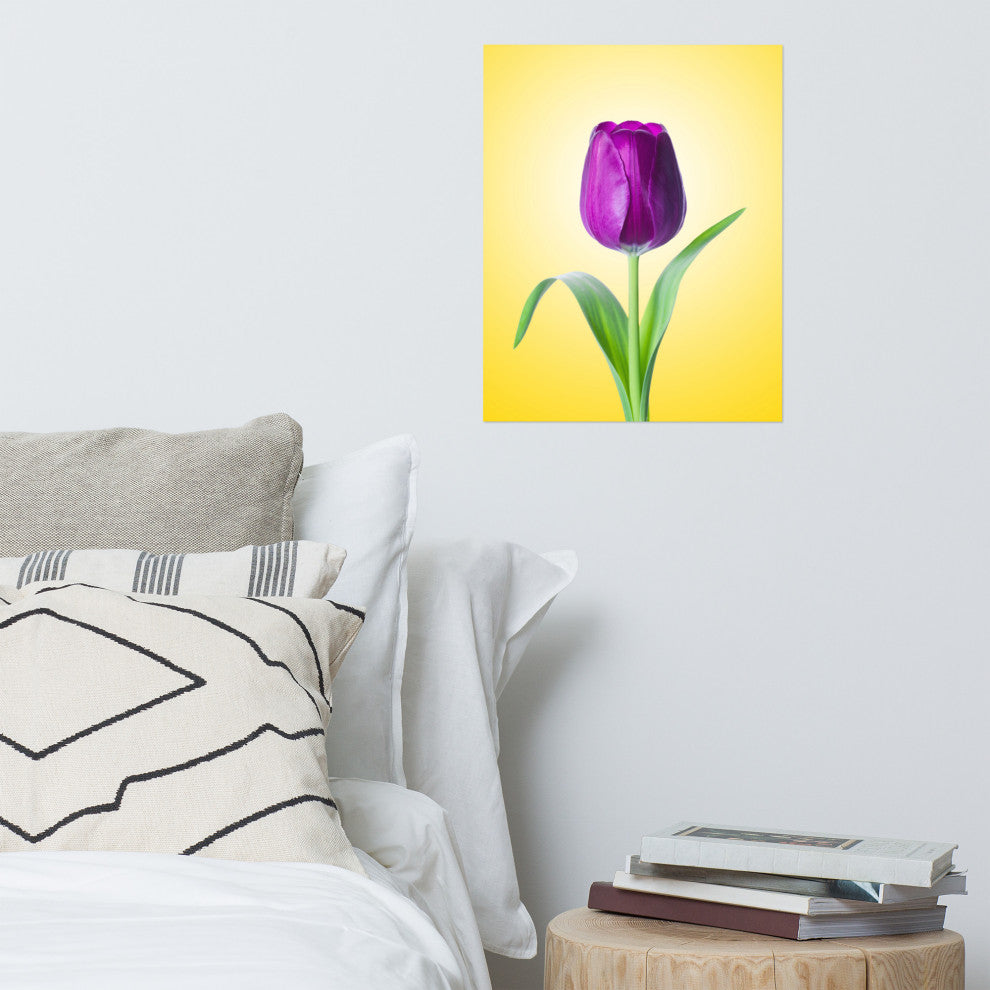 Purple Tulip on Yellow Minimal Floral Nature Photo Loose Wall Art Print, 16" X 20"